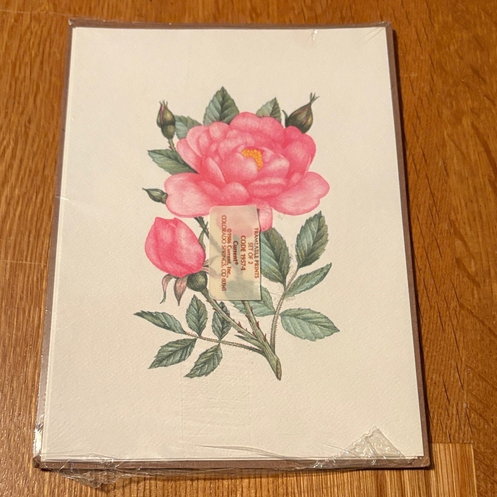 Vintage Current 1986 Pink and Green Botanical Art Print